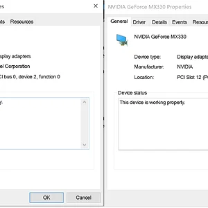 Both Display Adapters Working Properly.webp