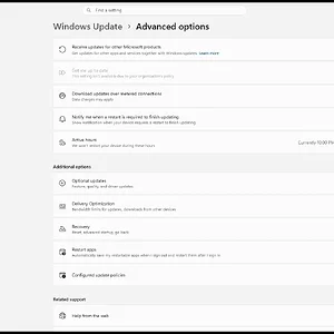 windowsforum-settings-windowsupdate-advanced-options-5b72bb52.webp