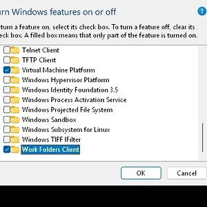 windowsforum-windows-features-sandbox-447162a1.webp