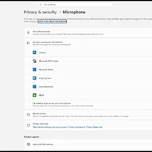 windowsforum-settings-privacy-microphone-290b722b.webp