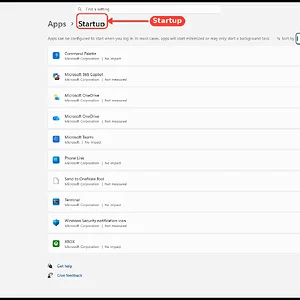 windowsforum-settings-apps-startup-33360101.webp