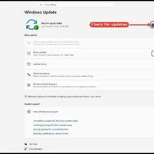windowsforum-settings-windows-update-6a39b5cc.webp
