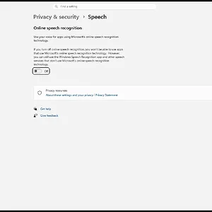 windowsforum-settings-privacy-speech-733e6bb4.webp