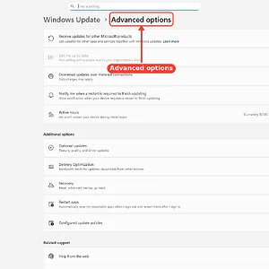 windowsforum-settings-windowsupdate-advanced-options-a6e98891.webp
