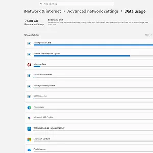 windowsforum-settings-data-usage-d4d31018.webp