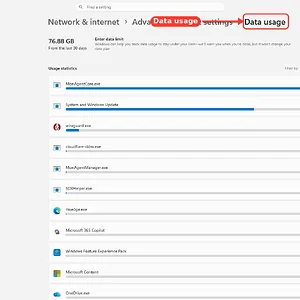 windowsforum-settings-data-usage-d4d31018.webp