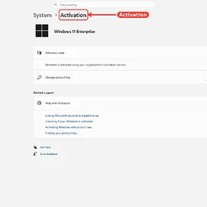 windowsforum-settings-activation-38338bb7.webp
