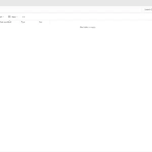 windowsforum-file-explorer-downloads-2d72be9d.webp