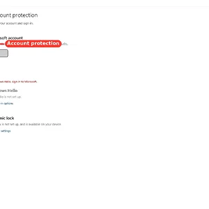 windowsforum-windows-security-account-protection-fdb36a4e.webp