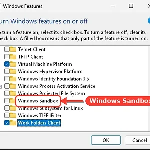 windowsforum-windows-features-sandbox-f1083b8e.webp