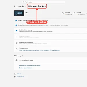 windowsforum-settings-backup-96aea5cd.webp