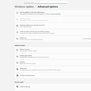 windowsforum-settings-windowsupdate-advanced-options-50881382.webp