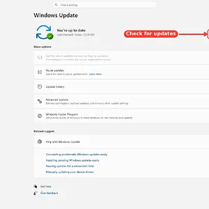Media 'windowsforum-settings-windows-update-4896e30d.webp' in category 'Windows Forum'