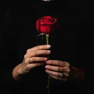 Holding A Red Rose.webp