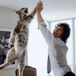 High Five..webp