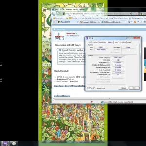 screenshot ram2.webp