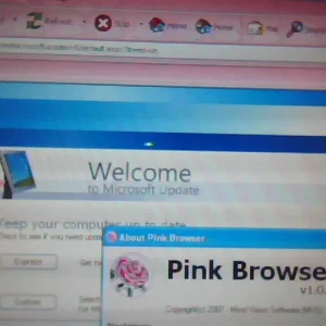 Windows Update in Pink browser-in Windows XP.webp