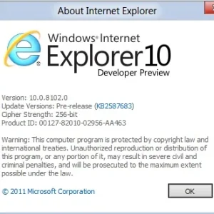 IE Version.webp